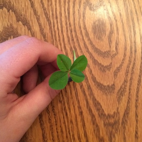 Meet your Posher, Laura - Picture 1 of 1